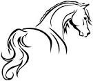 Photo de profil de yolaine91