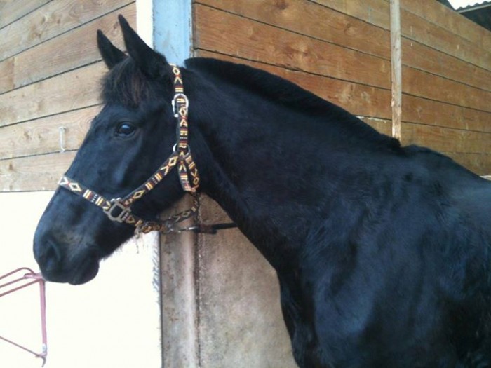 Photo de profil de yonna.49