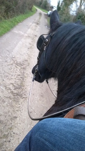 Photo de profil de zalta27