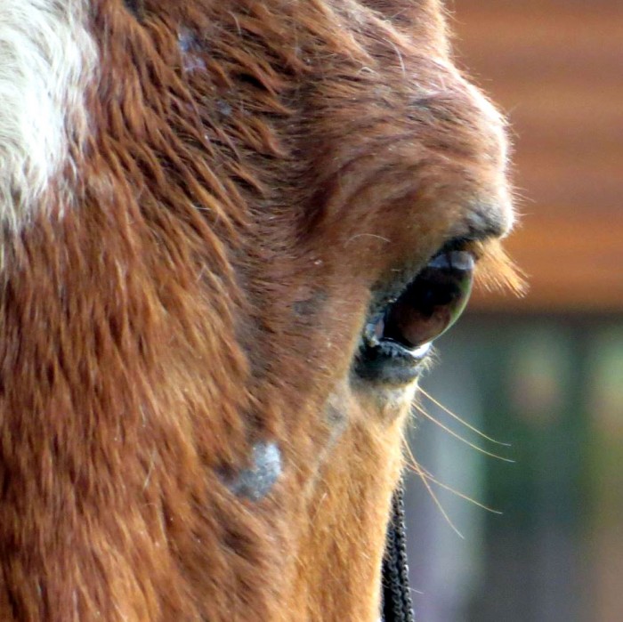 Photo de profil de zephiria