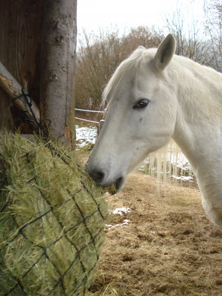 Photo de profil de 2012estelle25