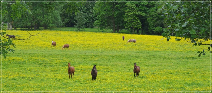 Photo de profil de abbecourt78