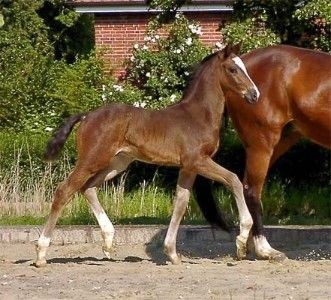 Photo de profil de adonisbountie