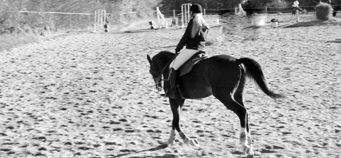 Photo de profil de agathe.h
