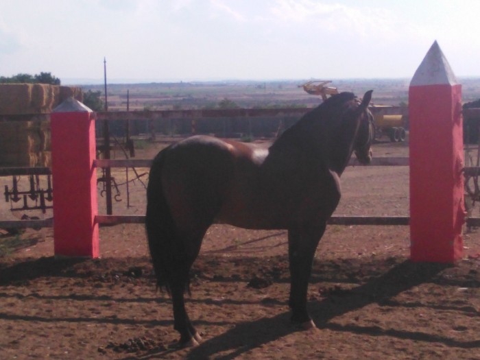 Photo de profil de agropequ