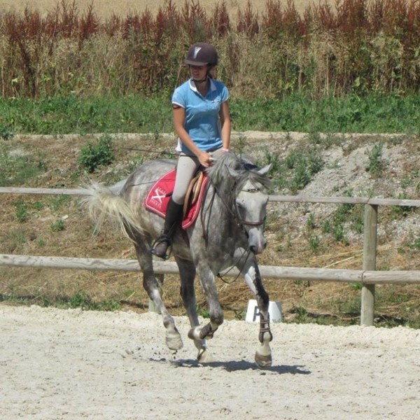 Photo de profil de alexandrahorsin