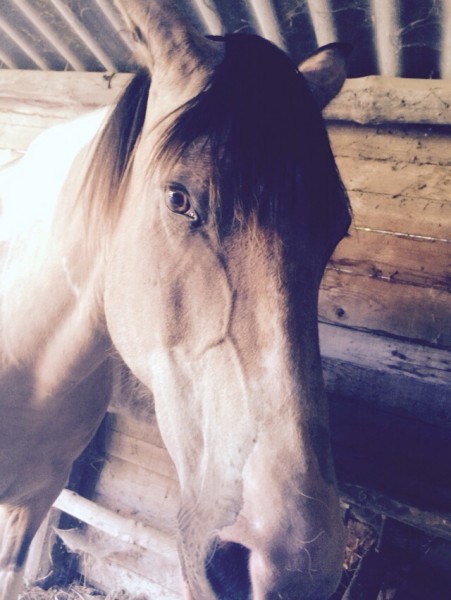 Photo de profil de alhesia