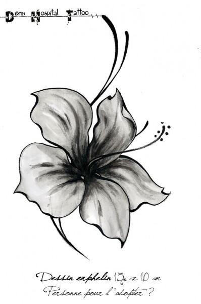 Photo de profil de alice.33