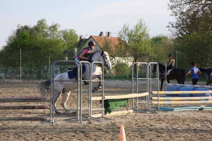 Photo de profil de alicia.zipp