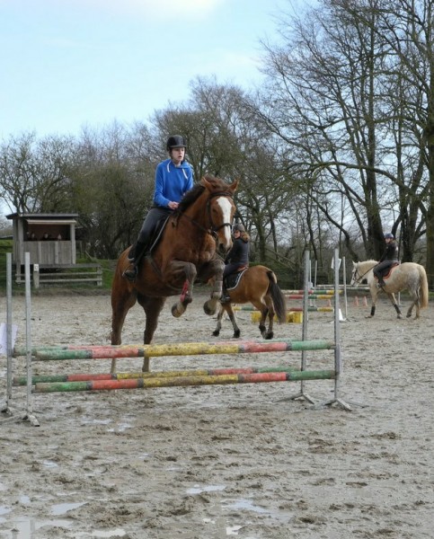 Photo de profil de allisonchevaux