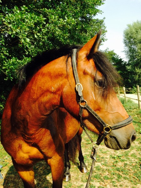 Photo de profil de almadumoulin