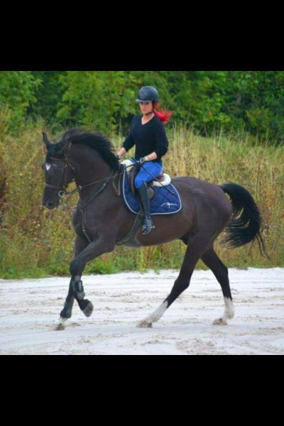 Photo de profil de alysea