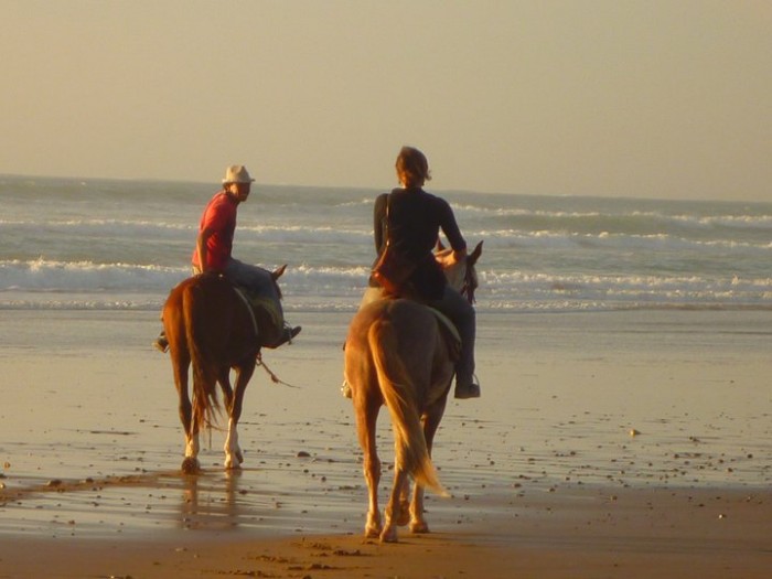 Photo de profil de amazircheval