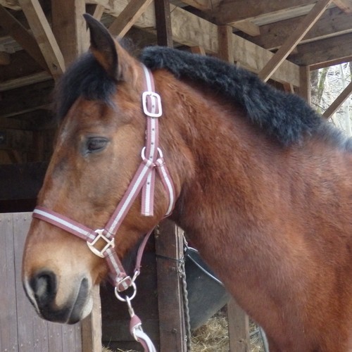 Photo de profil de amelielenny