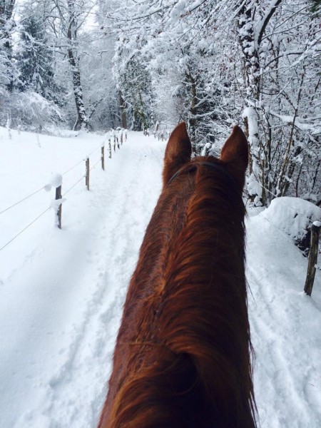 Photo de profil de anael74