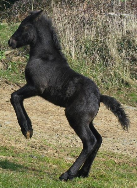 Photo de profil de anavel