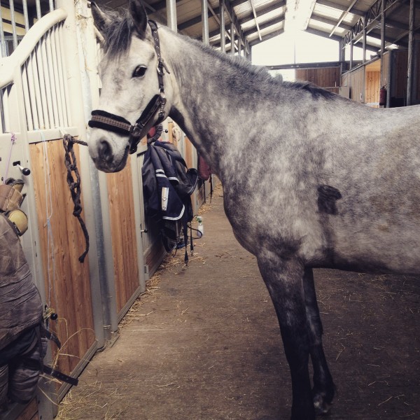 Photo de profil de angelebelh