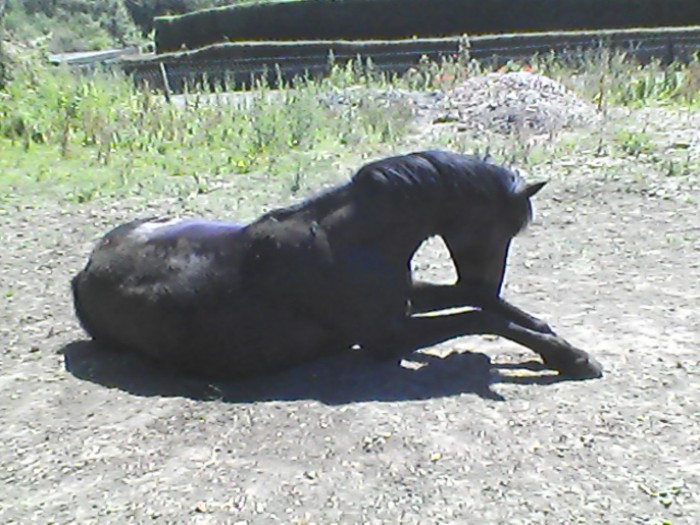 Photo de profil de angelique14