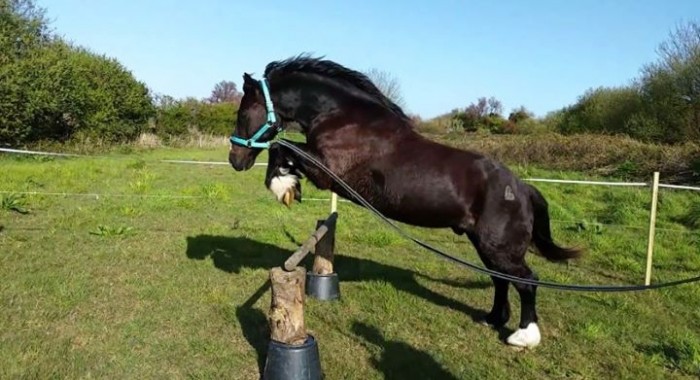 Photo de profil de angeliquebocher