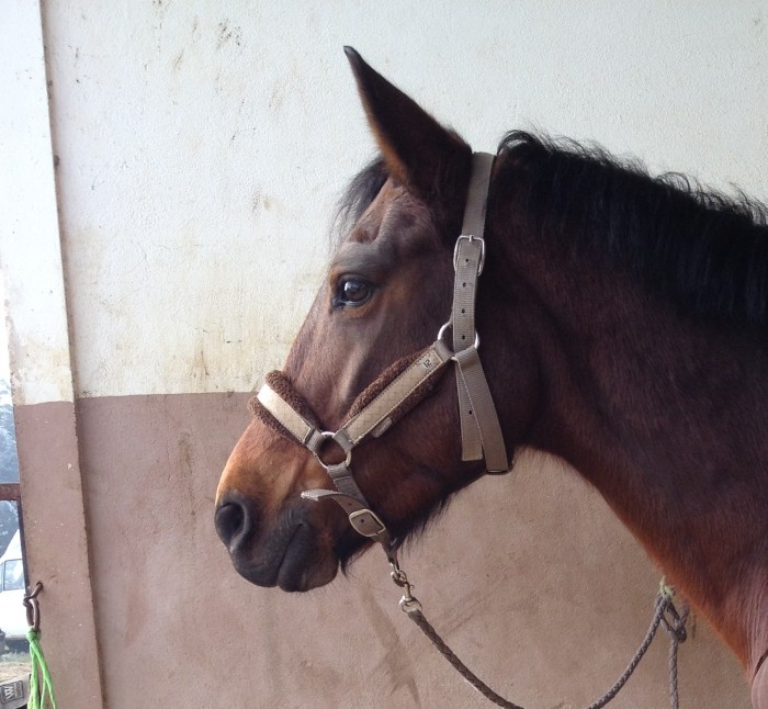 Photo de profil de annkat