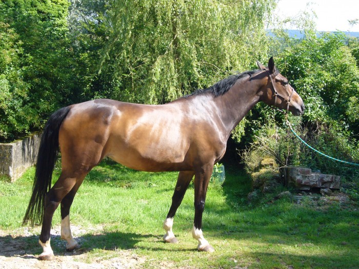 Photo de profil de arthurus