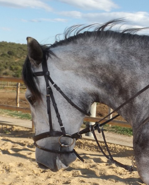 Photo de profil de aurelie.artuso