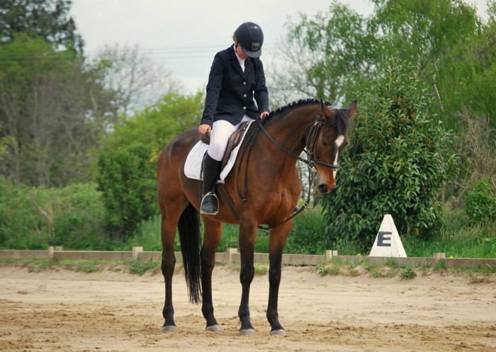 Photo de profil de aurore_martin