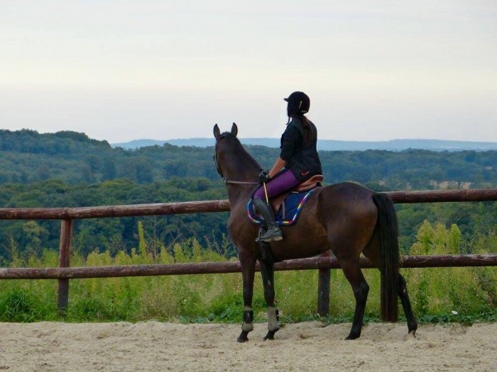 Photo de profil de babytaurus