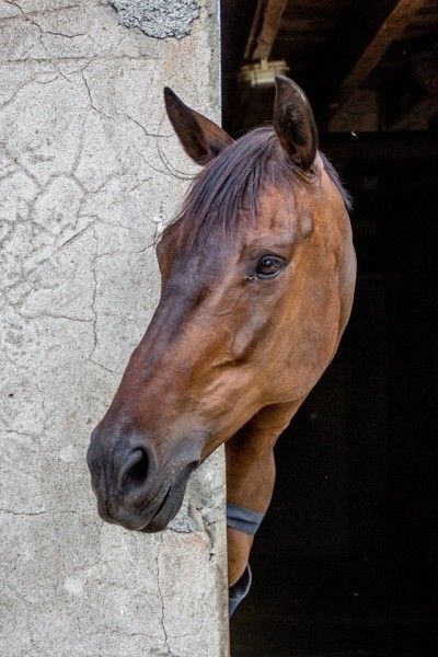 Photo de profil de bamboulette