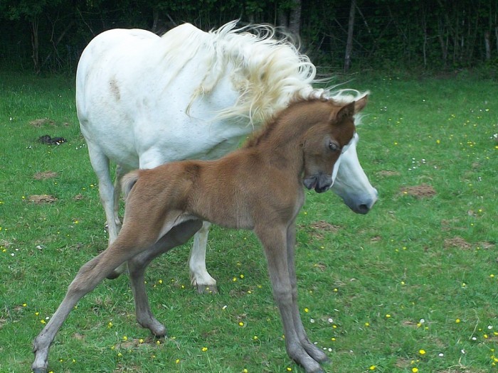 Photo de profil de bambydelle