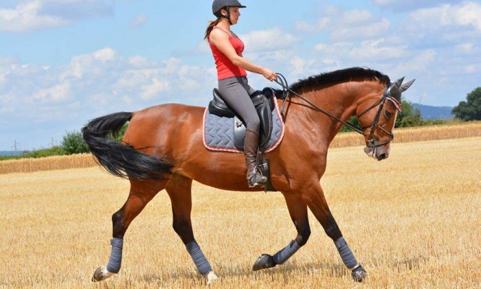 Photo de profil de bamorka