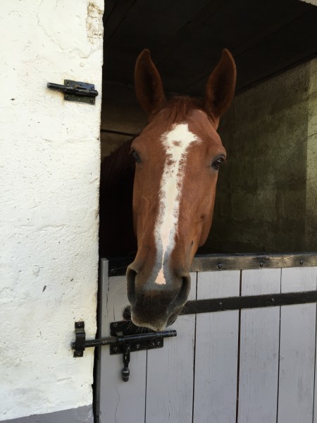 Photo de profil de baptisme