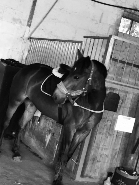 Photo de profil de baptiste_roy