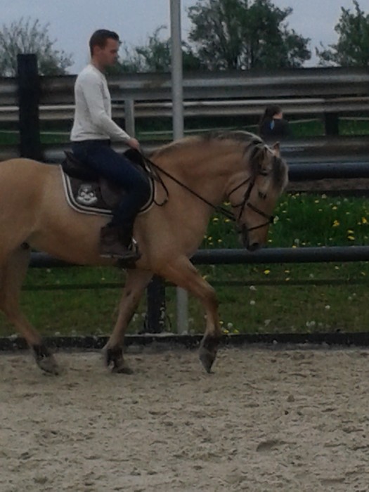 Photo de profil de bellozanne