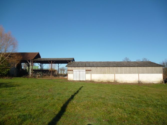 Photo de profil de besphi