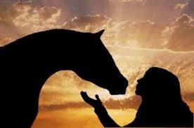 Photo de profil de betty51