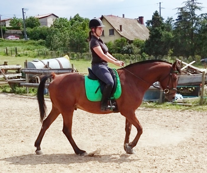 Photo de profil de beubelgum