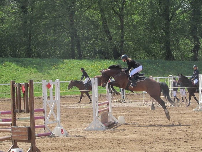 Photo de profil de bfhorse