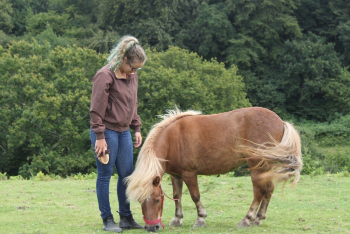Photo de profil de bighorse