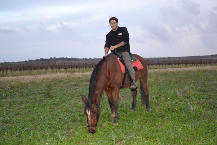 Photo de profil de brus