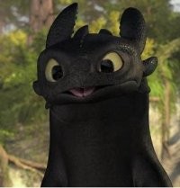 Photo de profil de budibulle