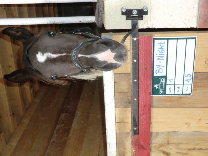 Photo de profil de by.night