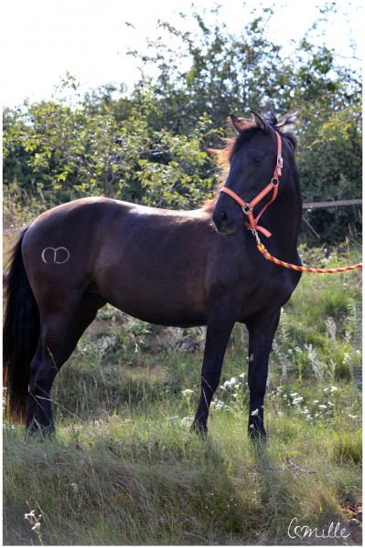 Photo de profil de cabriola