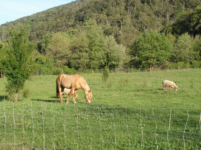 Photo de profil de caladoise