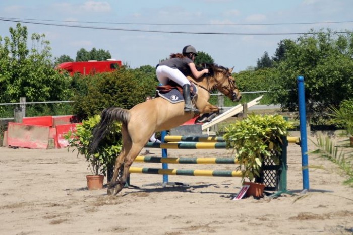 Photo de profil de calou390