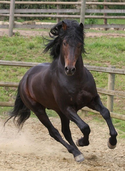 Photo de profil de camille.92