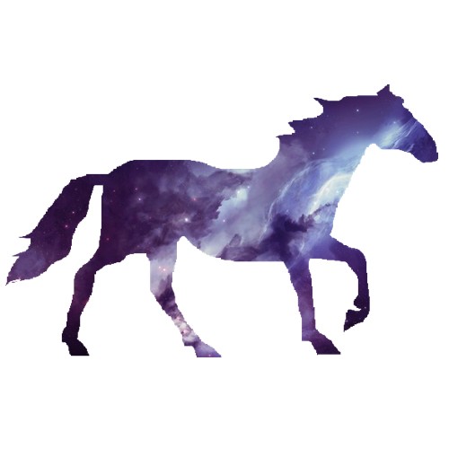 Photo de profil de cami.pony