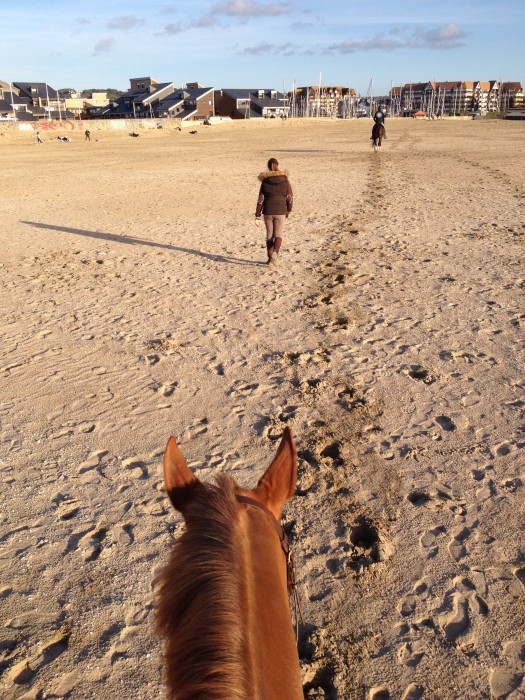 Photo de profil de candelight