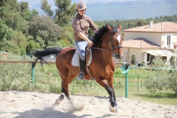 Photo de profil de caoimhe18