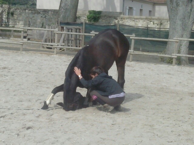Photo de profil de cappea
